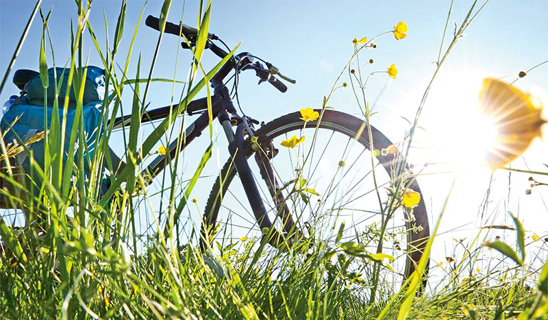 P & P Versicherungsmakler