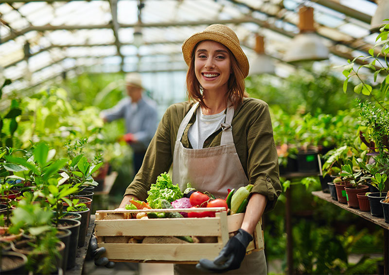 Bund deutscher Baumschulen
